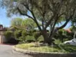 25365 Via Verde #3 thumbnail 3