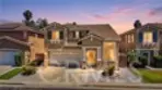 42124 Orange Blossom thumbnail 2
