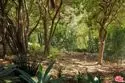 2018 Griffith Park Boulevard #108 thumbnail 25