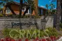 118 Matisse thumbnail 47