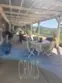 35120 Calle Nopal thumbnail 39