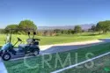 7 Playa thumbnail 50