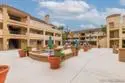 2037 Burton Street #43 thumbnail 10