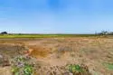 505 Turnstone thumbnail 27