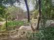 7150 Carlson Circle #65 thumbnail 6