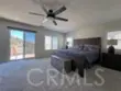 26784 Lemon Grass thumbnail 34