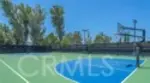 11 Nature thumbnail 38