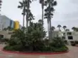 1205 Pacific Hwy #2504 thumbnail 9