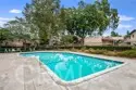 1373 Wheaton Way thumbnail 27