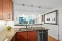 325 7th Avenue #1102 thumbnail 7