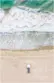 4252 Lahaina Drive thumbnail 38