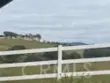 38687 Calle Segovia thumbnail 11