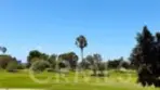 12 Navarre thumbnail 33