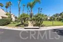 154 Chandon thumbnail 41