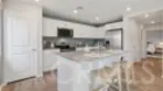 30932 Olas Court thumbnail 32