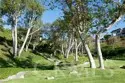 36 Vienna thumbnail 43