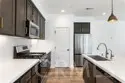 39438 Corvina thumbnail 10