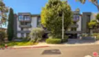 1215 N Olive Drive #306 thumbnail 28