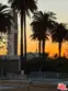 4579 Ambrose Avenue #8 thumbnail 33