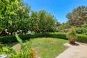 5629 Caminito Isla thumbnail 4