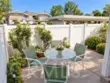 171 Tarocco thumbnail 10