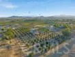 33851 Madera De Playa thumbnail 1