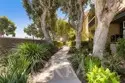 1028 Palo Verde Avenue thumbnail 34