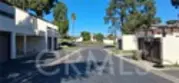 1437 Robin thumbnail 11
