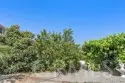 23505 Carancho Road thumbnail 62