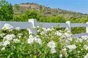 23505 Carancho Road thumbnail 44