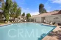 66 Cinnamon Teal thumbnail 38