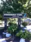 11138 Aqua Vista Street #9 thumbnail 20