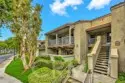 2800 Keller Drive #242 thumbnail 3