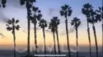 900 Pacific Coast thumbnail 2