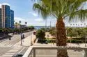 1431 Pacific Highway #411 thumbnail 42