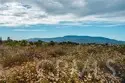 33545 Madera De Playa thumbnail 6
