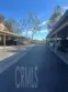 21245 Camelia #27 thumbnail 42