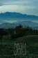 2235 El Capitan thumbnail 61