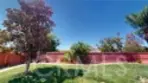 39239 Sugarcane thumbnail 8