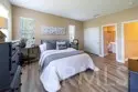 26252 Sage Grass Court thumbnail 58