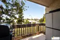10306 Summertime Lane thumbnail 30