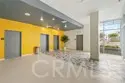 168 S Monterey Street #205 thumbnail 30