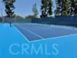 11 Bramble thumbnail 8