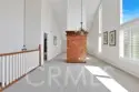 19544 Vasile Circle thumbnail 5