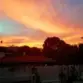 12435 Rios Road thumbnail 14