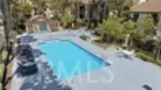 39 Pomelo thumbnail 8