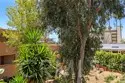 251 Calliope Street thumbnail 11