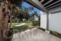 306 Orange Blossom thumbnail 11