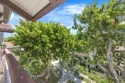 21372 Brookhurst #234 thumbnail 9