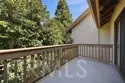 127 Lemon thumbnail 18